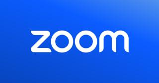 Zoom Pro / Готовый Аккаунт / 30 дней
