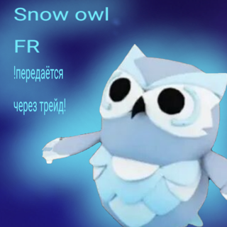 FR|snow owl|
