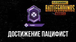 Возьму Пацифиста вход через QR