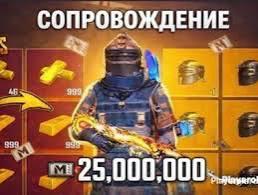 Сопровождении на 25 kk + вещи + подарок