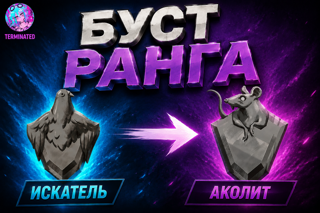 Seeker - Acolyte solo-duo「 𝐄𝐔 / 𝐑𝐔 / 𝗡𝗔 」TOP 100 EU BOOST (цена за одну победу)