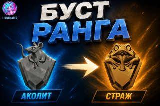 Acolyte - Sentinel solo-duo「 𝐄𝐔 / 𝐑𝐔 / 𝗡𝗔 」TOP 100 EU BOOST (цена за одну победу)
